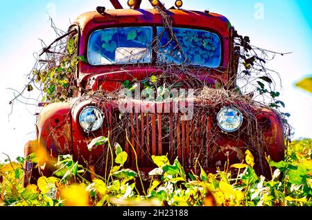 Un antico furgone americano Lafrance degli anni '40 si trova in un campo sull'autostrada 98, 16 ottobre 2021, a Fairhope, Alabama. Foto Stock