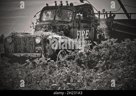 Un antico furgone americano Lafrance degli anni '40 si trova in un campo sull'autostrada 98, 16 ottobre 2021, a Fairhope, Alabama. Foto Stock