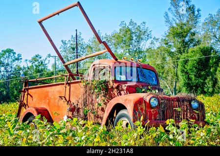 Un antico furgone americano Lafrance degli anni '40 si trova in un campo sull'autostrada 98, 16 ottobre 2021, a Fairhope, Alabama. Foto Stock