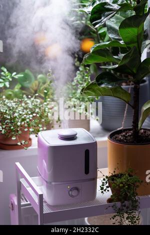 Vapore da umidificatore elettrico, umetta l'aria secca circondata da piante  domestiche durante la stagione di riscaldamento Foto stock - Alamy