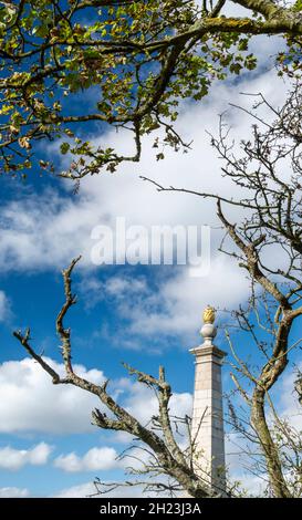 Un'area di bellezza naturale, un vecchio albero di fronte al monumento, eretto 1904 per ricordare i 148 uomini locali uccisi nel conflitto in Sud Africa, overl Foto Stock