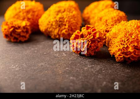 Cempasuchil fiori d'arancio o Marigold. (Tagetes erecta) tradizionalmente utilizzato negli altari per la celebrazione del giorno dei morti in Messico Foto Stock