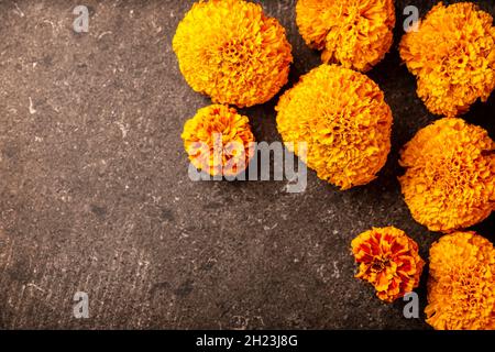 Cempasuchil fiori d'arancio o Marigold. (Tagetes erecta) tradizionalmente utilizzato negli altari per la celebrazione del giorno dei morti in Messico Foto Stock