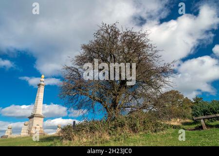 Un'area di bellezza naturale, un solo albero di fronte al monumento, eretto 1904 per ricordare i 148 uomini locali uccisi nel conflitto in Sudafrica, overl Foto Stock