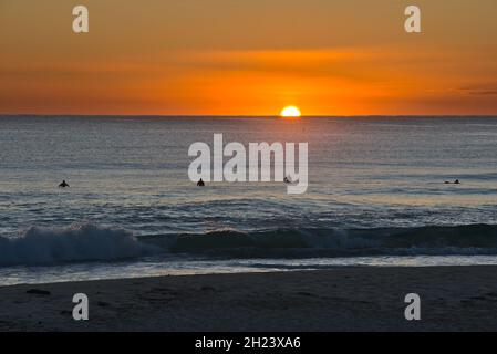 Surfisti in acqua durante l'alba Foto Stock