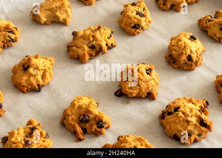 Biscotti cotti con cioccolato e noce. Foto Stock