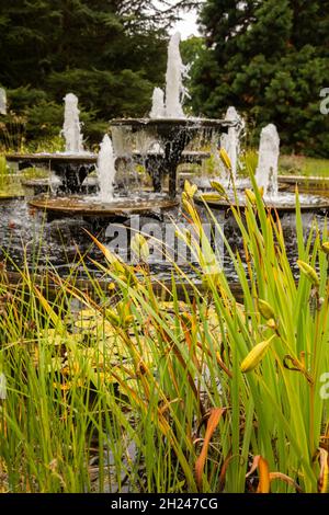 Regno Unito, Inghilterra, Cambridgeshire, Cambridge, University Botanic Garden, fontana Foto Stock