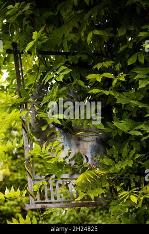 Regno Unito, Inghilterra, Cambridgeshire, Cambridge, Grantchester, High Street, segno di ipercrescita di Green Man Pub vuoto Foto Stock