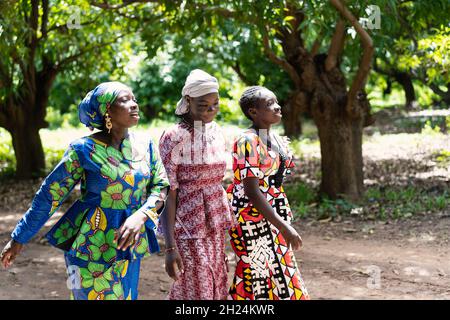 Tre belle giovani donne nere con colorati abiti festosi che camminano fianco a fianco su un sentiero forestale, cantando una canzone tradizionale africana Foto Stock