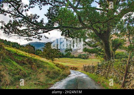 Tipica strada di campagna inglese che si snoda per Blea Tarn nella Valle di Langsdale, Cumbria, Lake District National Park. REGNO UNITO Foto Stock