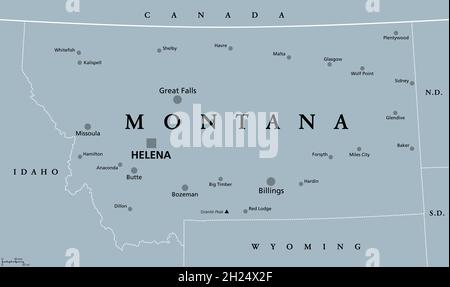 Montana, MT, mappa politica grigia con la capitale Helena. Stato nella subregione Mountain West degli Stati Uniti occidentali dell'America, Big Sky Country. Foto Stock