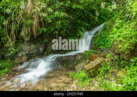 Un piccolo ruscello di montagna sopra le terrazze di riso Longshen a Guangxi, Cina. Foto Stock