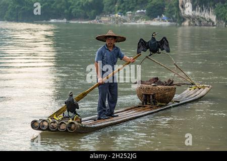Un pescatore cormorano con cormorani su una zattera di bambù sul fiume li. Xingping, Cina. Foto Stock