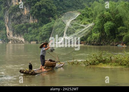 Un pescatore cormorano in un cappello conico su una zattera di bambù lancia una rete di getto nel fiume li, Xingping, Cina. Foto Stock