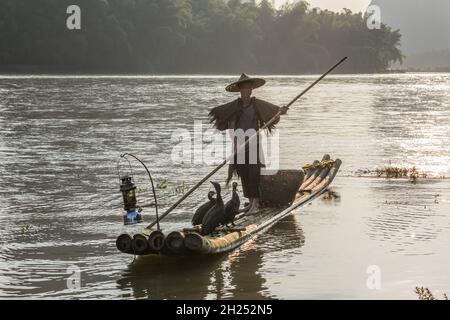 Un pescatore cormorano porta la sua zattera di bambù sul tramonto iat del fiume li. Xingping, Cina. Foto Stock