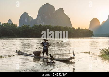 Un pescatore cormorano porta la sua zattera di bambù sul tramonto iat del fiume li. Xingping, Cina. Foto Stock