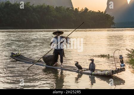 Un pescatore cormorano porta la sua zattera di bambù sul tramonto iat del fiume li. Xingping, Cina. Foto Stock