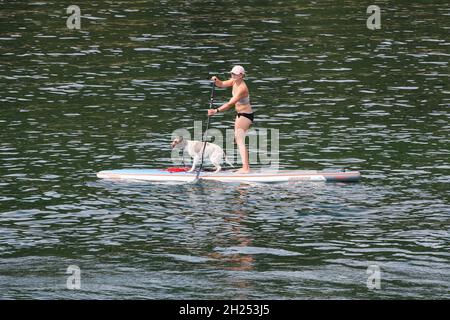 Aarhus, Danimarca - 7 agosto 2018: Donna in piedi con un cane su un paddle board sul mare Foto Stock