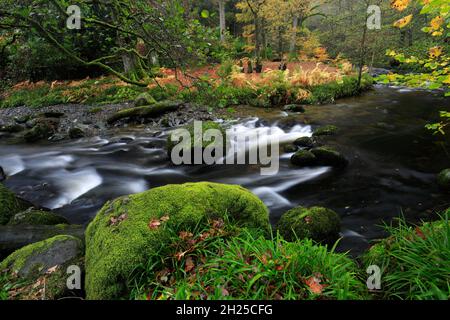 Autunno, Aira Beck vicino Ullswater, Lake District National Park, Cumbria, Inghilterra Foto Stock