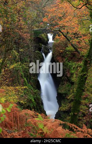 Autunno, cascata di Aira Force vicino Ullswater, Lake District National Park, Cumbria, Inghilterra Foto Stock