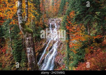 Paesaggio autunnale con una cascata forestale. Bellissimo autunno luminoso nelle montagne del Caucaso. Foto Stock