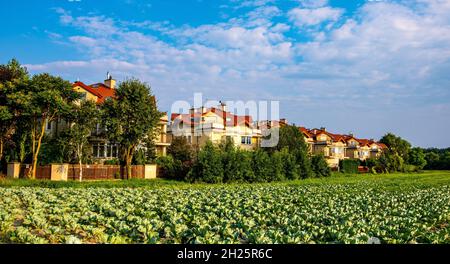 Varsavia, Polonia - 24 luglio 2021: Vista panoramica delle tenute residenziali nei pressi della foresta di Las Kabacki, nei pressi dei campi agricoli del distretto di Kabaty di Varsavia Foto Stock