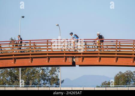 Passerella in legno, passerella ponte, alla riserva naturale di Guadalhorce, che collega le spiagge della Costa del Sol, Malaga, Andalusia, Spagna. Foto Stock