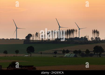 Turbine eoliche nei pressi di Lichtenau (Westfalia) Foto Stock