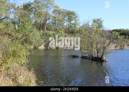 Piccola isola con alberi su di esso al lago Ice Box Quarry a Lemont, Illinoi Foto Stock