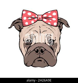 Ritratto disegnato di un volto di cane pug. Arco rosso sulla testa. Schizzo con penna e inchiostro su sfondo bianco. Grafica vettoriale isolata Illustrazione Vettoriale