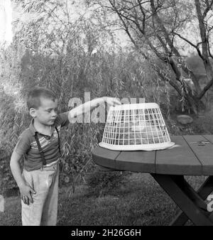 Anni '60, storico, fuori ad un tavolo da giardino, un ragazzo con un cesto di plastica sopra il suo gatto addormentato, USA. Foto Stock