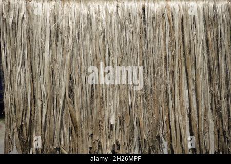 Vista ravvicinata della fibra di iuta grezza. La iuta marce viene lavata in acqua e asciugata al sole. Texture e dettagli in fibra di iuta marrone. Foto Stock