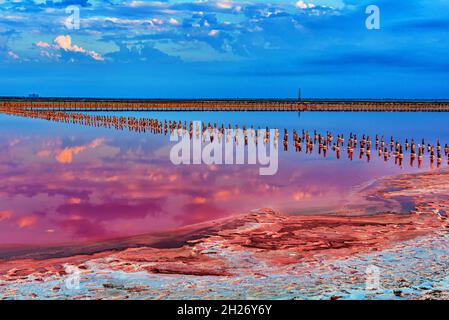 Lago rosa in Crimea, con una crosta secca di sale e minerali sulla riva Foto Stock