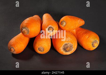 gruppo carota su sfondo nero Foto Stock