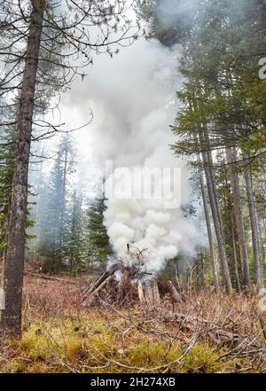 Combustione controllata di legno essiccato e rami al fine di prevenire il fuoco naturale, Wyoming, USA. Foto Stock