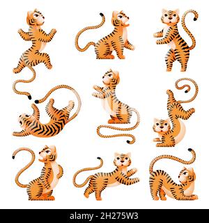 Tigre cinese di nuovo anno. Tigri cartoon, simboli asiatici festival. Gatti selvatici isolati, animali arrabbiati e carini. Zoo esotico, stampa o adesivi swanky Illustrazione Vettoriale