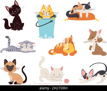 Carino personaggi gatto. Gatti disegno, animali domestici belli isolati. Cartoon piatto cucciolo giocare e dormire. Adesivi animali, semplice divertente vettore emotivo di classe Illustrazione Vettoriale