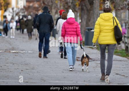 Erholung im Freien im Salzkammergut während des lockdown in Österreich (Europa) - attività ricreative all'aperto nel Salzkammergut durante il blocco ad Aust Foto Stock