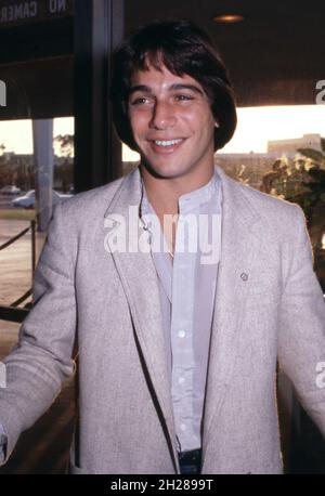 Tony Danza Circa 1979 Credit: Ralph Dominguez/MediaPunch Foto Stock