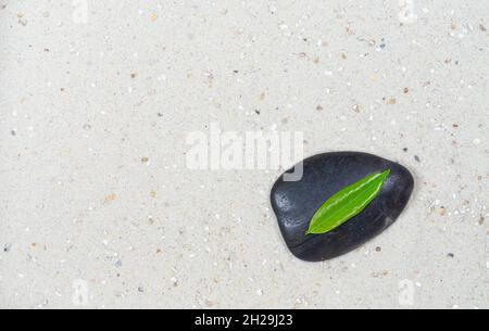 Pietra nera con foglia verde di sabbia bianca, passando attraverso i cerchi Foto Stock