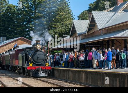 Il Cockle Train guidato da Engine RX 224, una locomotiva a vapore costruita nel 1915, arriva alla stazione di Victor Harbor in Australia Meridionale, Australia. Foto Stock