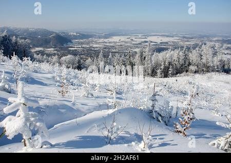 Winterwonderland auf dem Grünberg (Gmunden, Salzkammergut, Oberösterreich, Österreich) - Winter Wonderland sul Grünberg (Gmunden, Salzkammergut, Up Foto Stock