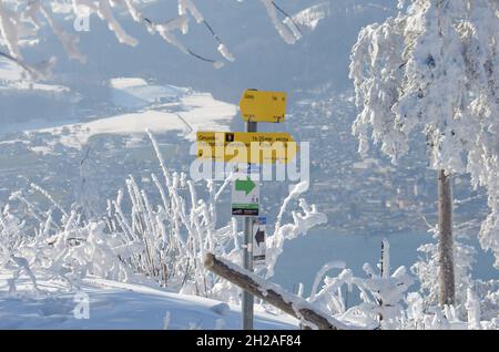 Winterwonderland auf dem Grünberg (Gmunden, Salzkammergut, Oberösterreich, Österreich) - Winter Wonderland sul Grünberg (Gmunden, Salzkammergut, Up Foto Stock