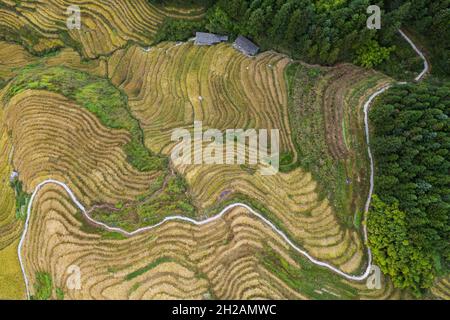 Vista dall'alto dei campi di riso in Cina - Longji Foto Stock