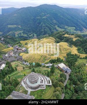 Vista aerea dei campi di riso terrazzi a Longji Foto Stock