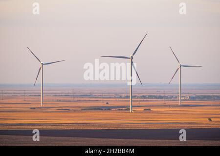 Turbine eoliche in Serbia, Europa. Nel tardo pomeriggio immagine paesaggistica del parco di turbine eoliche in bassopiani ventosi. Foto Stock