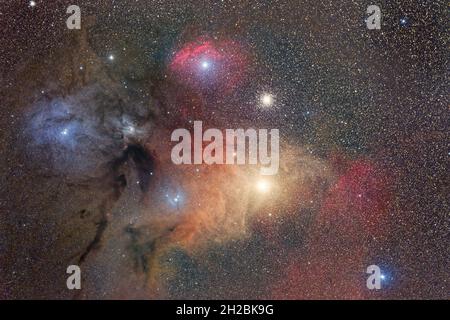 Regione di Antares Foto Stock