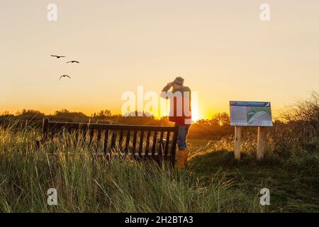 Fauna selvatica e alba a Southport, Merseyside. Meteo nel Regno Unito. 21 Ott 2021. Durante la notte, temperature fredde di 7C °C e cieli limpidi mentre il sole sorge sopra l'importante riserva naturale delle zone umide della RSPB Marshside. Un luogo preferito per gli osservatori di uccelli per vedere i greggi migranti di anatre e oche sorgono dai campi di alimentazione. La riserva è utilizzata da un gran numero di oche dal piede rosa, provenienti dall'Islanda, e dal wigeon, parte della Riserva Naturale del Parco Regionale Ribble, uno dei più grandi terreni di allevamento di uccelli guadi nel Regno Unito e riconosciuto a livello internazionale. Foto Stock