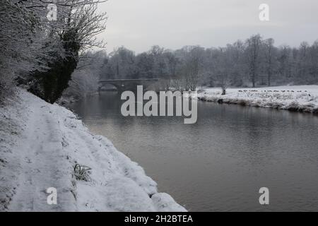 Paesaggio invernale panoramico nella valle di ribble, lancashire. Alberi nevosi lungo il fiume ribble, clitheroe Foto Stock