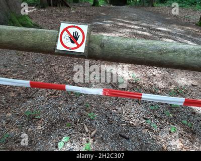 Barriera per le opere forestali, Germania Foto Stock